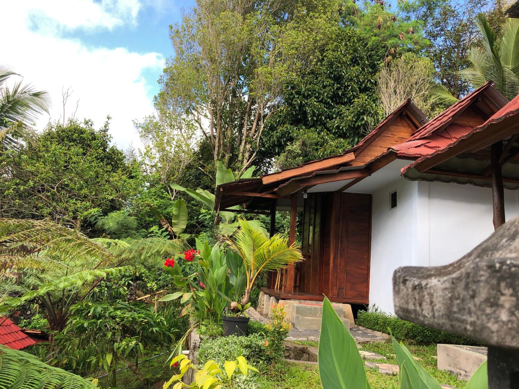 Sedana Yoga Resort Jembrana 외부 사진